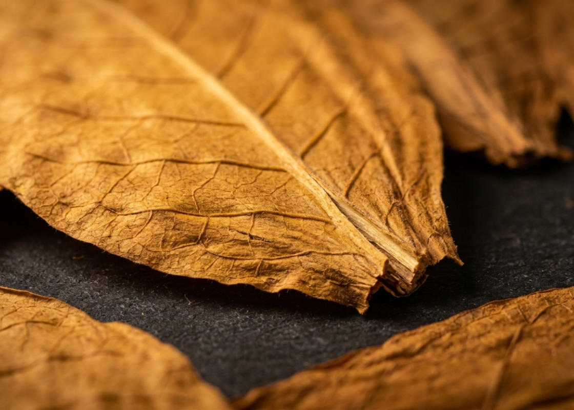Tobacco processing